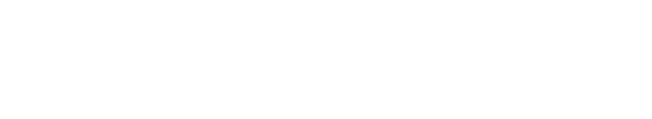 Welnorva white wordmark